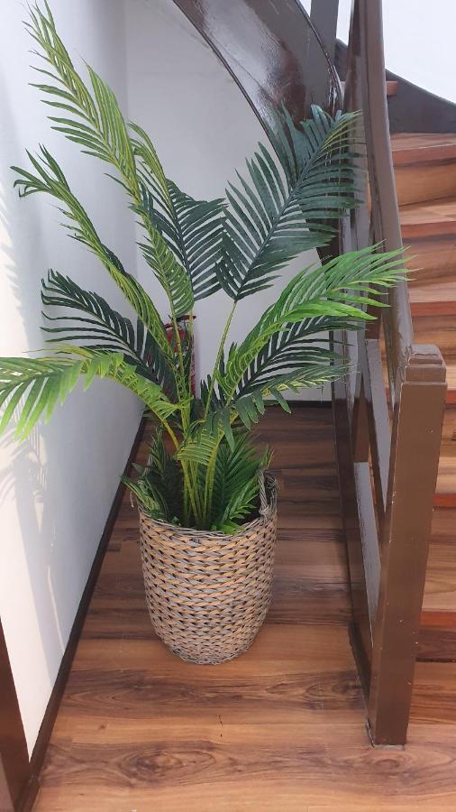 Casa Da Avo Julia Lägenhet Luso  Exteriör bild